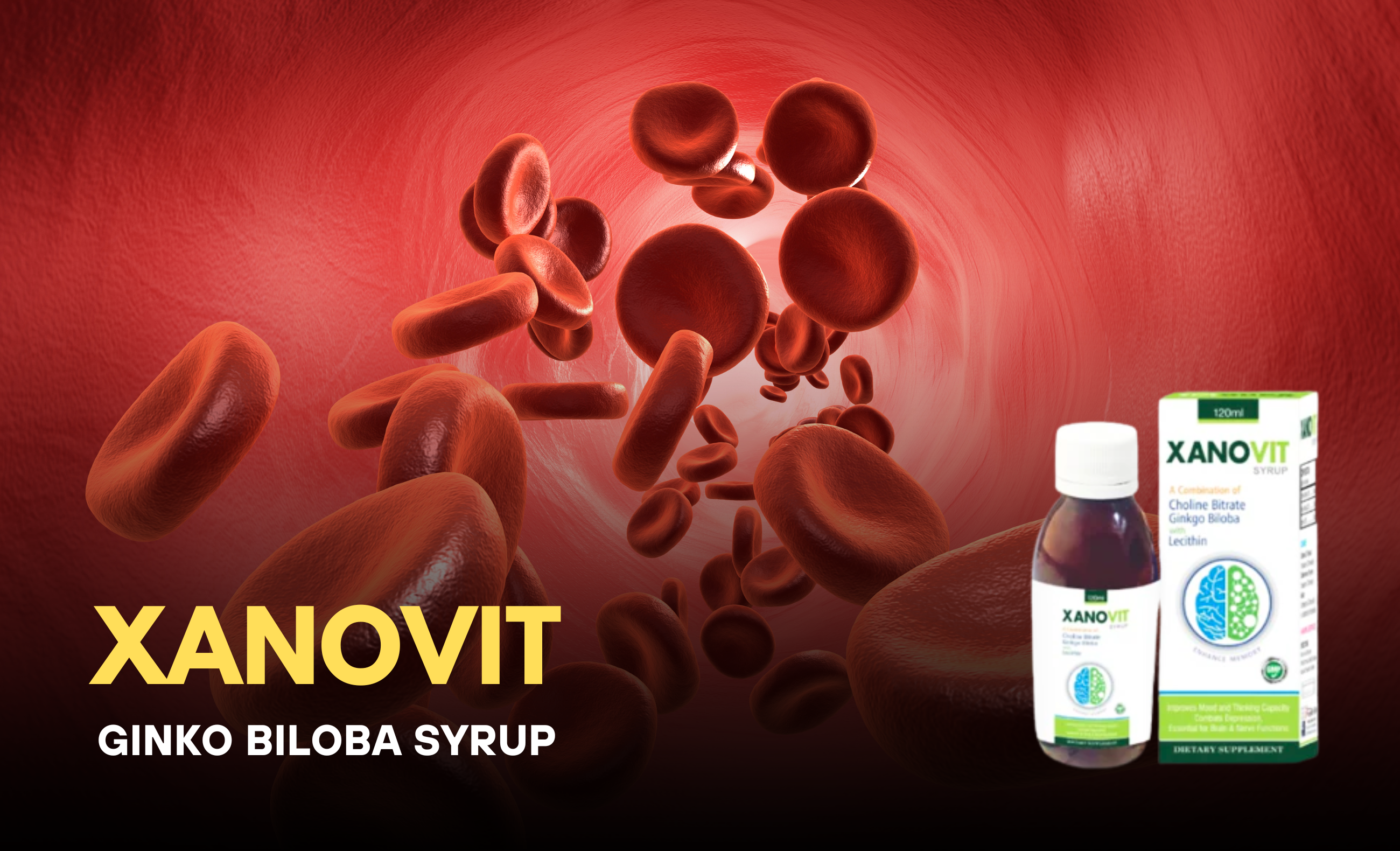 XANOVIT (Ginkgo Biloba Syrup): Boost Brain Health, Focus & Circulation Naturally